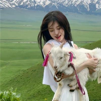 小刺猬与魔法石